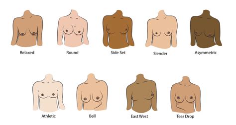 drop tits|The 12 Different Breast Shapes and Types